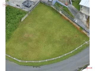 Bo Quebrada Arena, Solar comercial de...