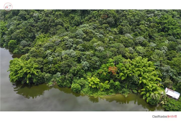 Se Vende terreno en Lago Dos Bocas Utuado