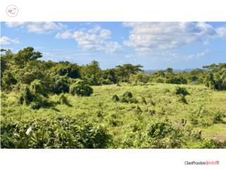 FLAT LAND | 6.6 cuerdas | MOTIVATED S...