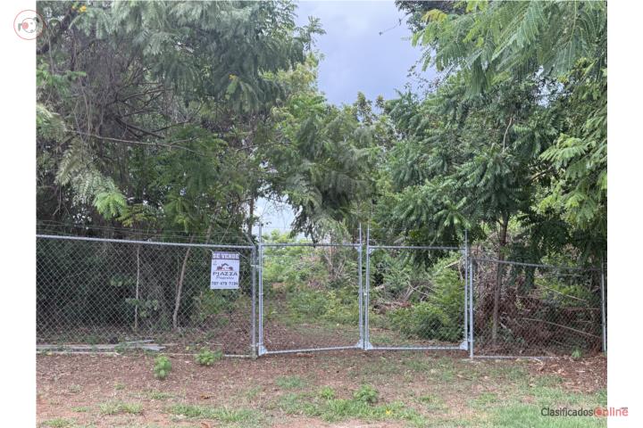 Farm in Guanajibo, Cabo Rojo