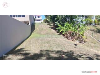 Montecarlo — LOTE