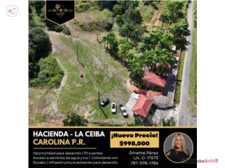 Hacienda La Ceiba – 70 Cuerdas