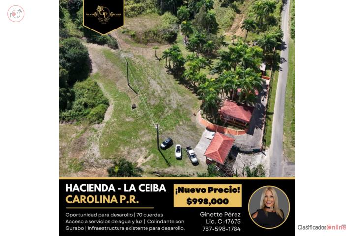 Farm in Barrazas, Carolina