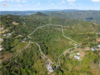 Terreno de 39 Cuerdas en Bo. Cercadil...