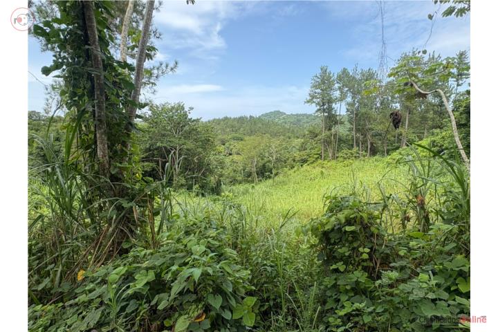 Lot in Naranjo, Moca