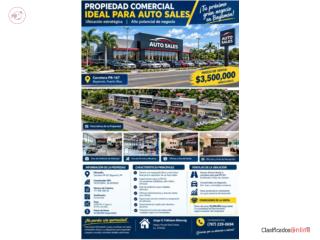 DEALERS AUTO PR-167 BAYAMON