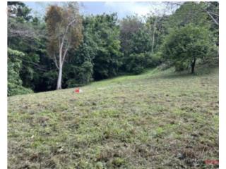 Santa Olaya Río  1,954.72 mts  $155K