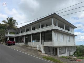 Bo Padilla Corozal
