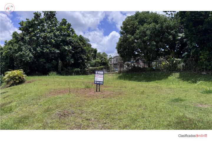 Lot in Limon, Mayagüez