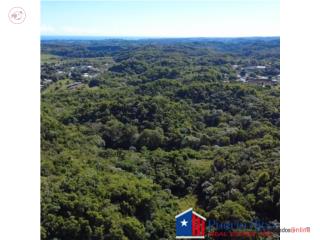 Hermoso Terreno 7.54 Acres con Canal,...