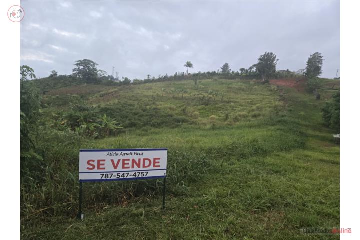 Farm in Jagueyes, Aguas Buenas