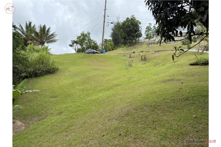 Lot in Guavate, Cayey