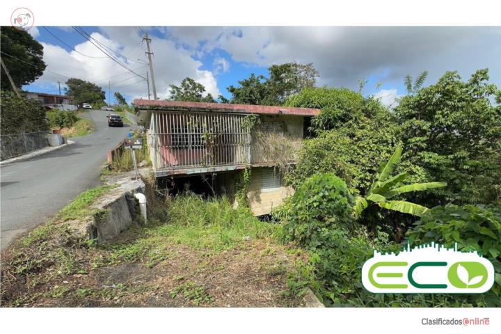 House in Barrio Nuevo, Naranjito