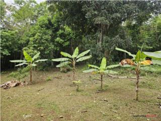 BO:RIO ARRIBA PONIENTE, 25 CDAS PV $1...