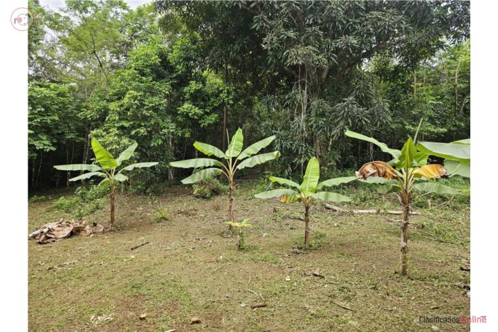 Farm in Rio Arriba Poniente, Manatí