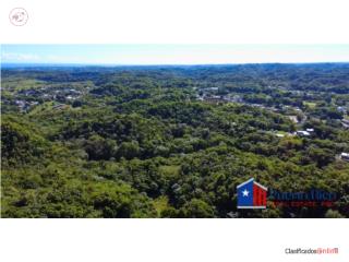 Hermoso Terreno 7.54 Acres con Canal,...