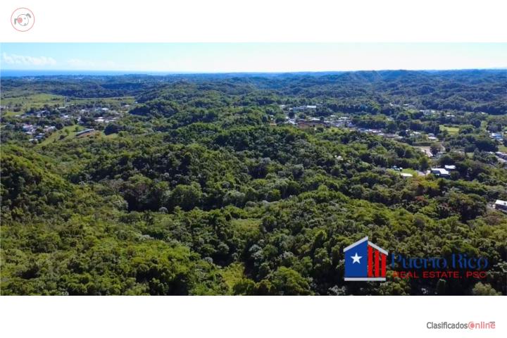 Hermoso Terreno 7.54 Acres con Canal, Isabela