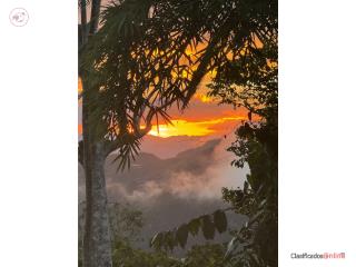 ForSale Vista Sur Plantation Land-Res...