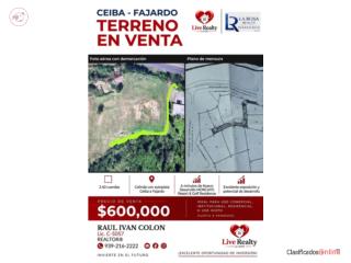 SolarCeiba-Fajardo Autopista