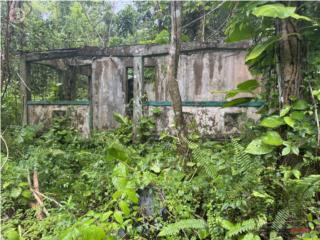 BO:RIO ARRIBA PONIENTE, 25 CDAS PV $1...