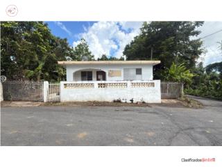 CARR 454 INT CALLEJO, LARES