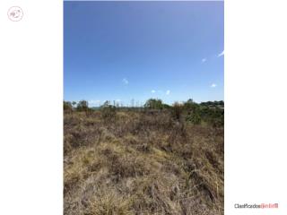 Finca en Aibonito de 8 cuerdas?