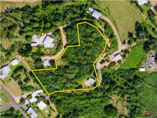 Cacao Alto, Finca 3.23 Cdas, Casa 4 C...