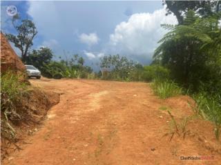 VENTA FINCA DE 1.1 CUERDAS EN ADJUNTA