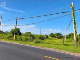 LOT 4 PR 753 KM 0.4 ANCONES WARD