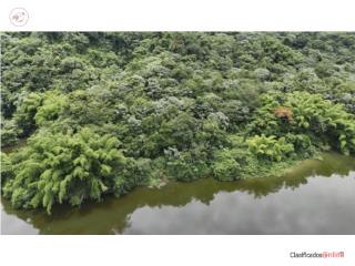 Terreno 6.4 cds, Lago Dos Bocas $350,...