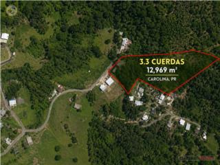 LAND FOR SALE 3.3 CUERDAS CARRUZO, CA...