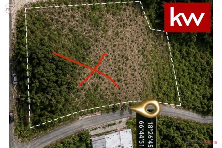 Lot in Hato Arriba, Arecibo