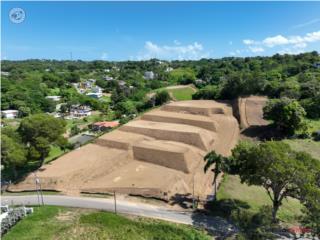 Make Your Dream Home a Reality in Rin...