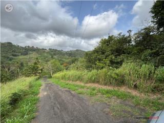 FINCA DE 8.9 CUERDAS CERCA DE MONTEHI...