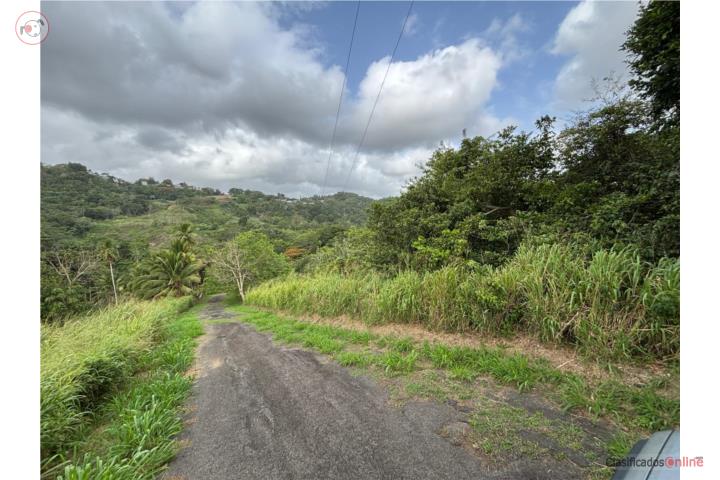 Farm in Quebrada Arena, San Juan - Río Piedras