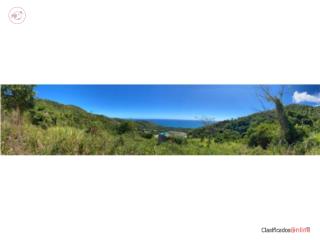 Barrio Emajaguas 3 acres of Land/ocea...