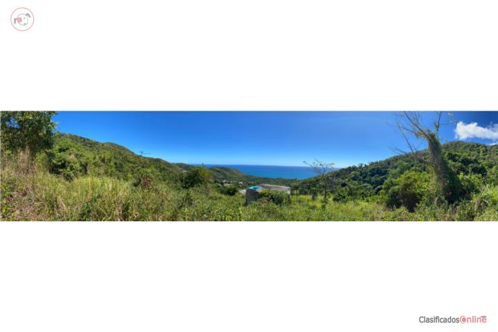Farm in Emajaguas, Maunabo