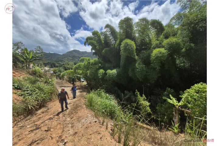 Farm in Olimpia, Adjuntas