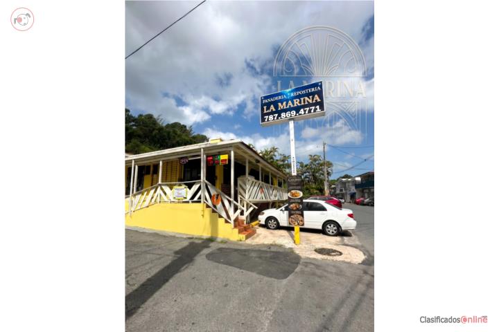 Commercial in Anones, Naranjito