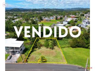 Vas a vender en Toa Alta, dame una ll...