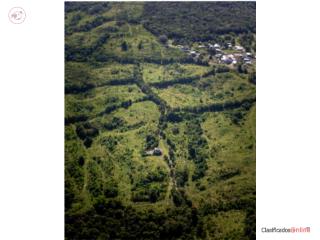 FINCA DE 113 CUERDAS, SAN SEBASTAIN E...