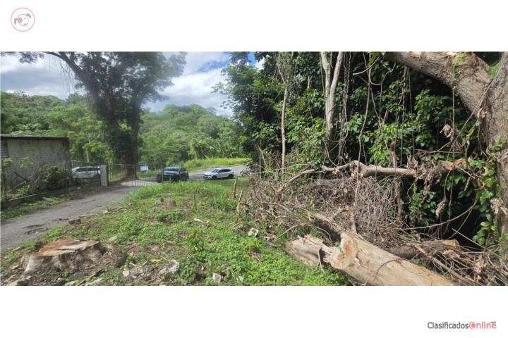 FINCA 4.3 CUERDAS BO ROSARIO, MAYAGUEZ