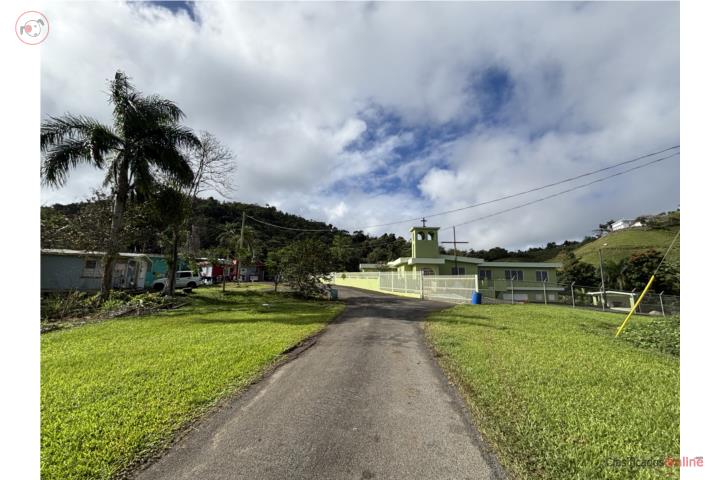 Farm in Juan Asencio, Aguas Buenas