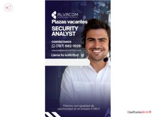 SECURITY ANALYST-CUPEY