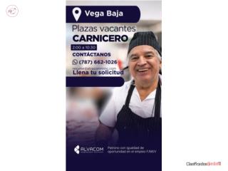 CARNICERO(A)-VEGA BAJA