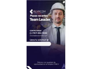 TEAM LEADER $17.10 (P/H) AREA METRO