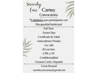 CUIDADORES PARA ADULTOS DISCAPACIDAD INTELECTUAL 