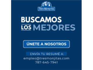 T�cnico Ambiental