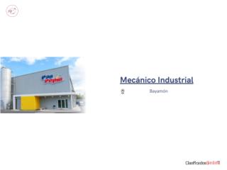 Mec�nico Industrial - Pan Pep�n Inc.