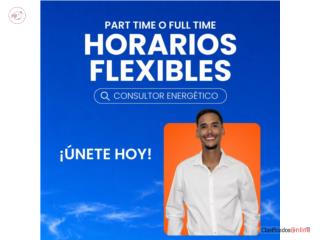 Consultor Energ�tico / *Ventas / Area Metro